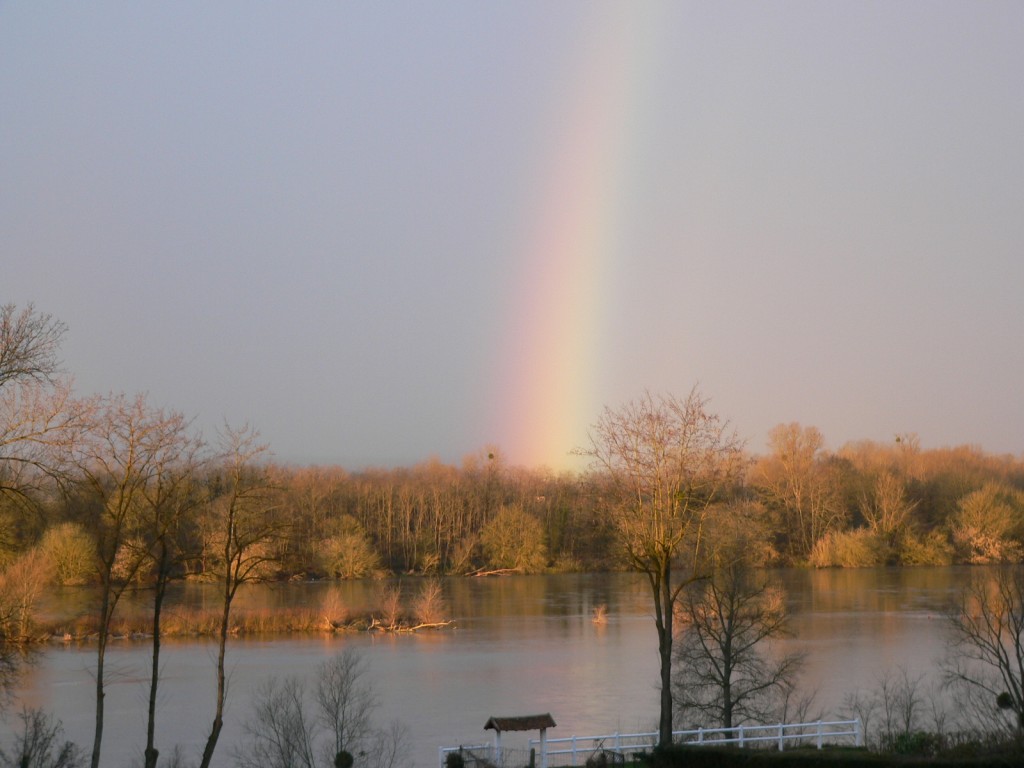 La Loire à Pouilly le 20 fév 2014 prise par Jean-Michel Masson vers 8h.