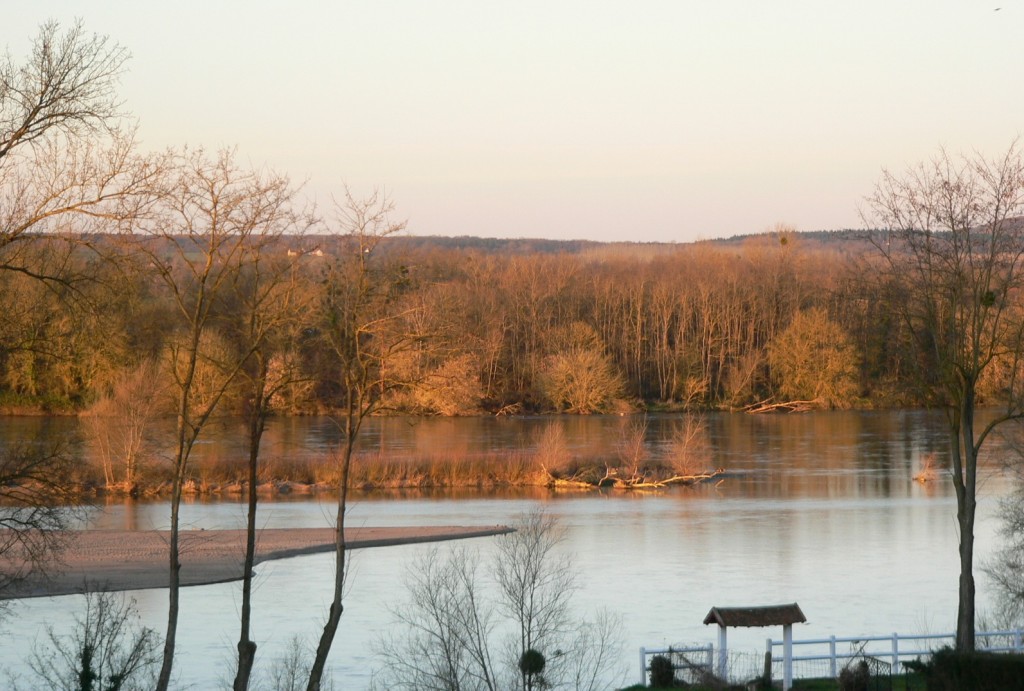 La Loire à Pouilly le 24 fév 2014 prise par Jean-Michel Masson à 07h57