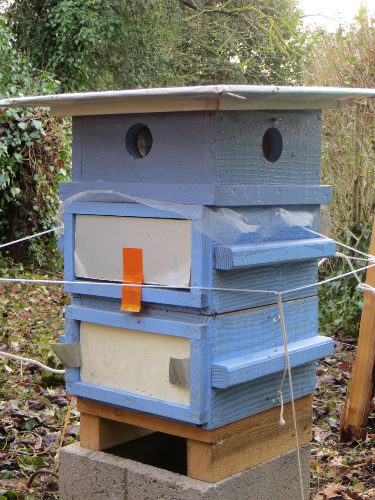 Ruche Domaine Masson-Blondelet Pouilly Ruche installée par Pierre-François Masson à Pouilly sur Loire pour encourager la survie des abeilles.