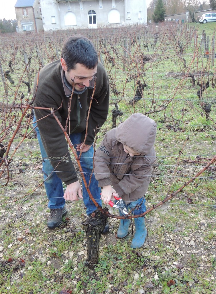 PF Masson du Domaine Masson-Blondelet taille une vigne de Pouilly-Fumé avec l'école maternelle.