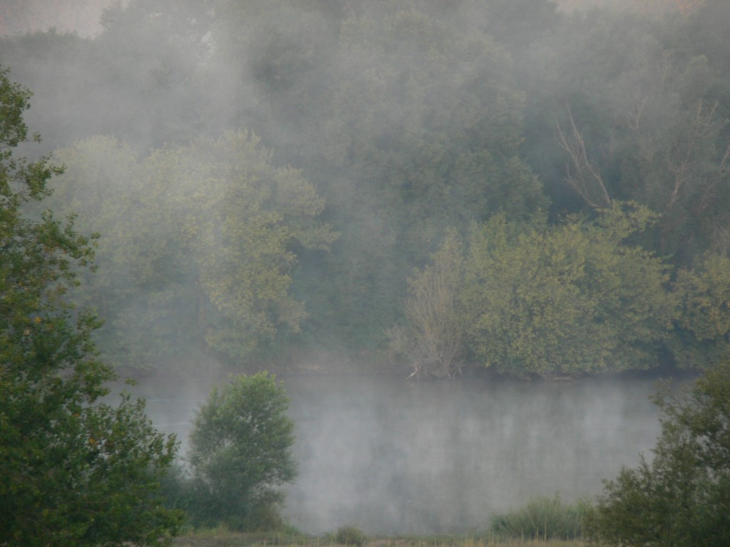 Brouillard sur la Loire