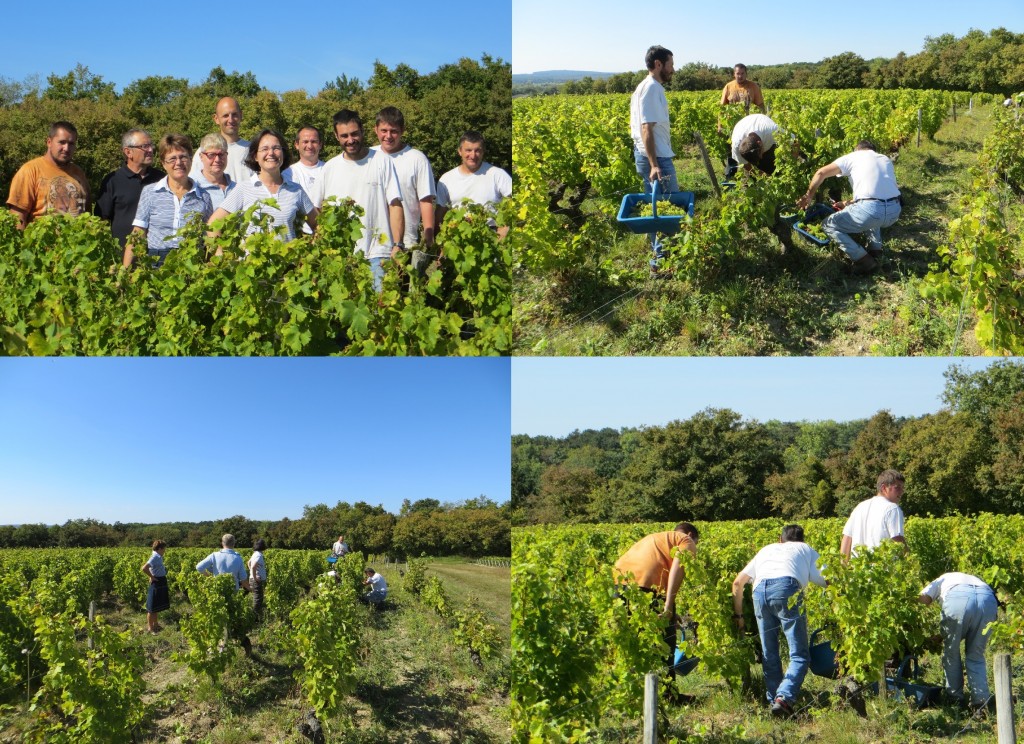 Masson-Blondelet Pouilly-Fumé 2014