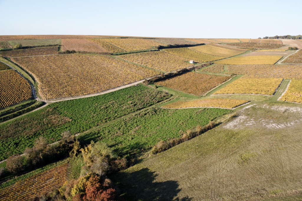 Couleurs d'autonme à Pouilly, Loire, Bernard-Noël CHAGNY