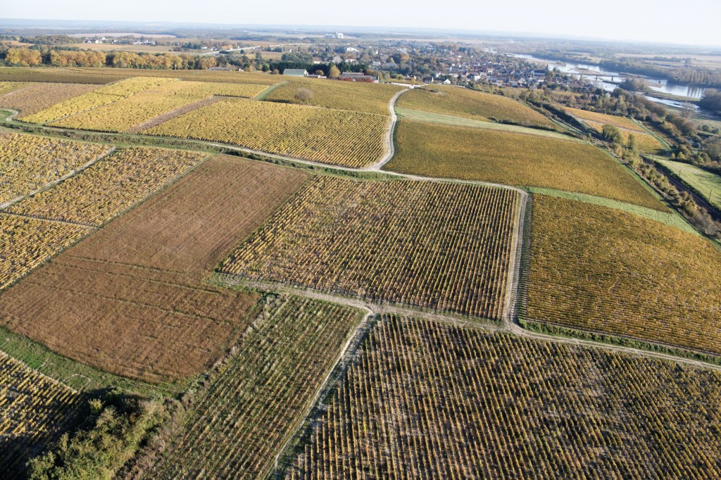 Vignes de Pouilly, Loire, Bernard-Noël CHAGNY