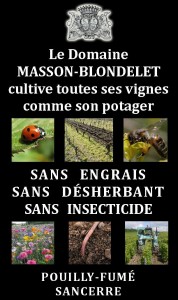 Carte Postale MASSON-BLONDELET