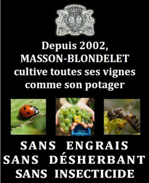 Postkarte